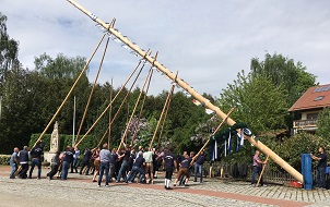Aufstellen des Maibaums Aufstellen des Maibaums