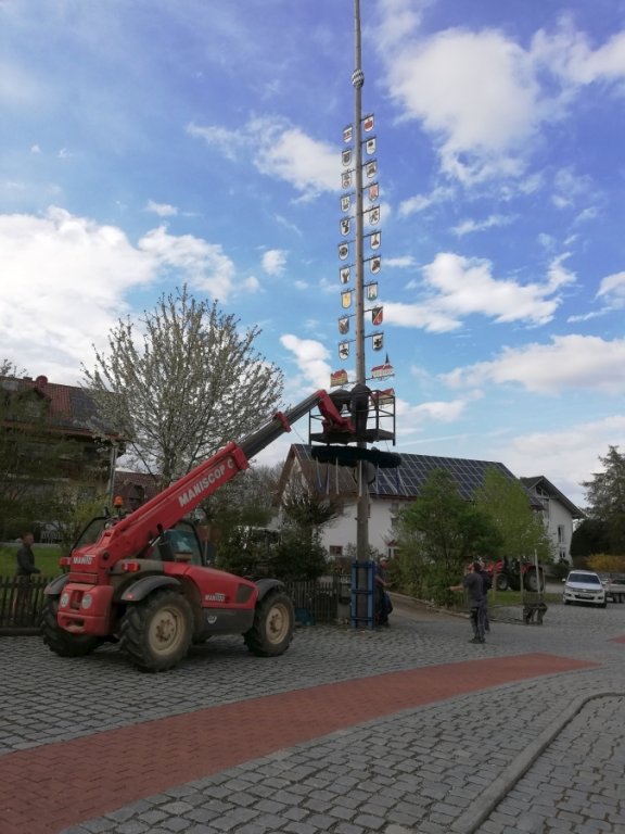 Maibaum umlegen