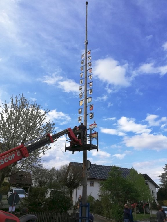 Maibaum umlegen