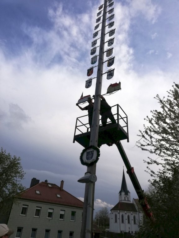 Maibaum umlegen