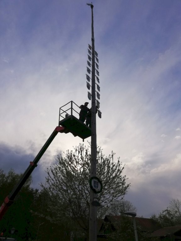 Maibaum umlegen