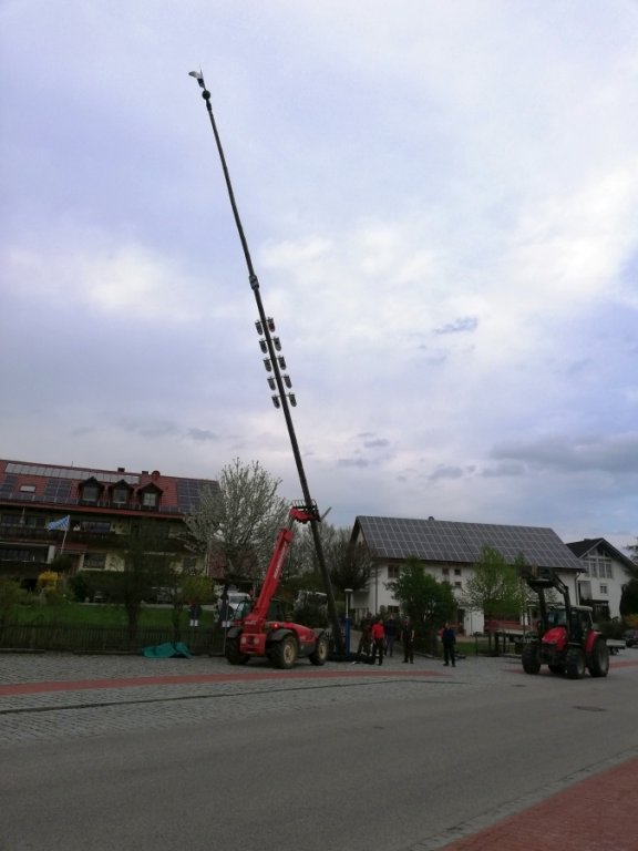 Maibaum umlegen
