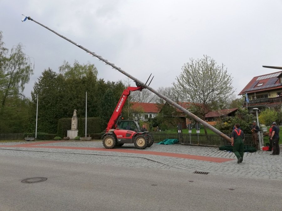 Maibaum umlegen